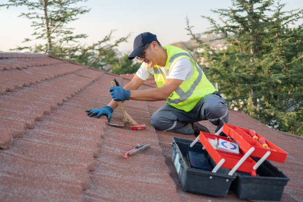 Best Commercial Roof Installation  in Camanche, IA