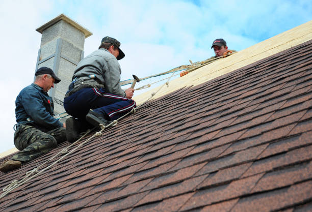 Best Flat Roof Repair Services  in Camanche, IA
