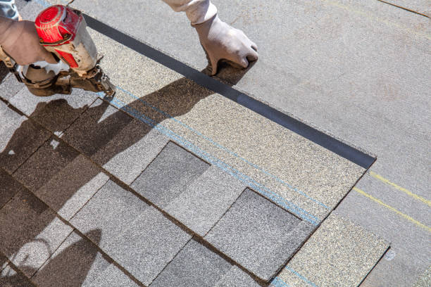 Best Local Roofing Companies  in Camanche, IA
