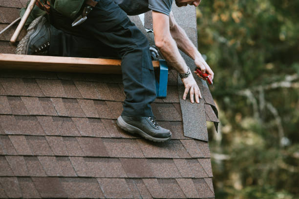 Best Commercial Roofing Services  in Camanche, IA