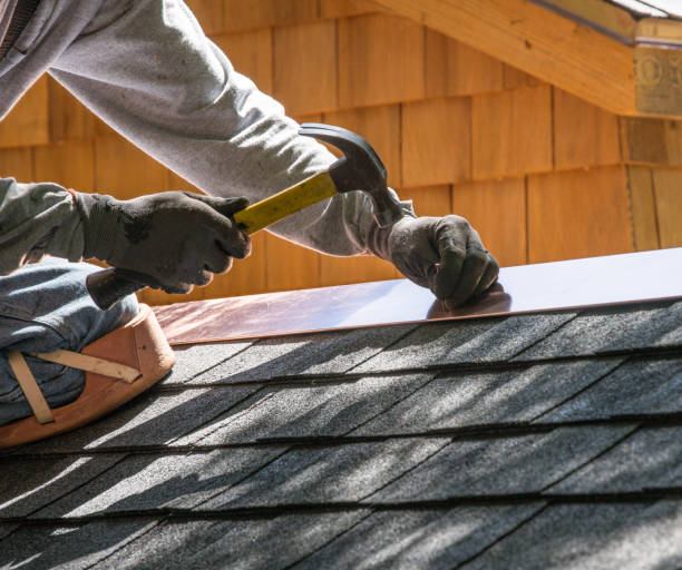 Best Roof Maintenance Services  in Camanche, IA